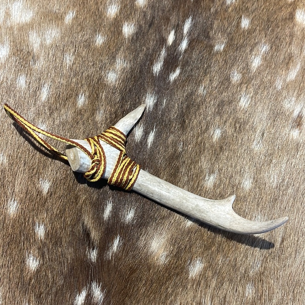 Deer antler Decor
